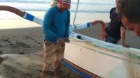 IMG_20221123_112903-803e6e5f