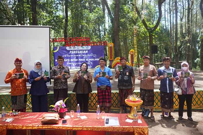 Gubernur Bali Resmikan Wisata Hutan Pinus Glagalinggah, Destinasi Baru di Kintamani