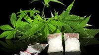 ganja dan sabu-dcc6b889