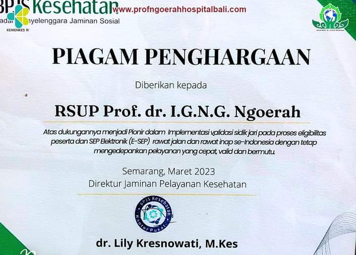 Dua RS Vertikal Pionir Raih Penghargaan Implementasi Validasi Sidik Jari dan SEP Elektronik, RSUP Prof Ngoerah Salah Satunya