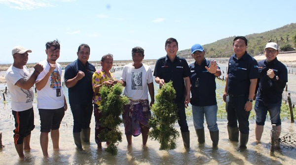 BRI Denpasar Peduli Pengusaha Rumput Laut Nusa Penida