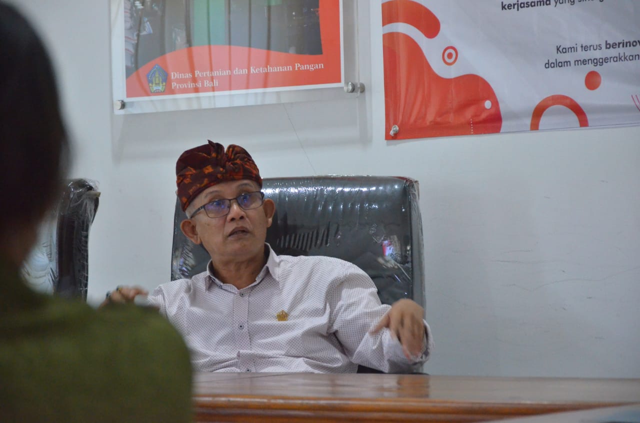 Dewan Bali Soroti Kasus Dugaan Pungli di Bandara Ngurah Rai