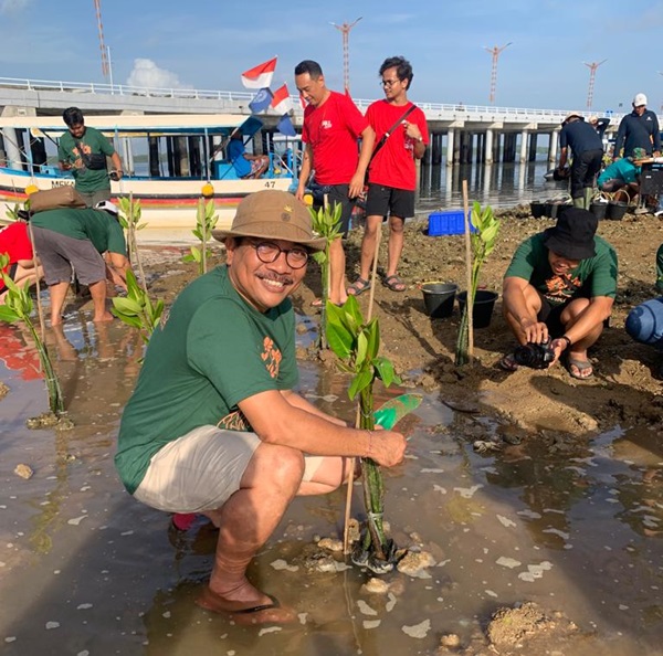 Kagama Bali Tanam 2000 Bibit Mangrove