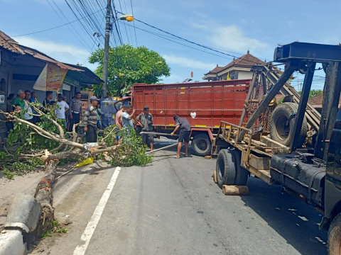 Bawa Truk Dalam Keadaan Mengantuk, Sopir Tabrak Pohon di Pinggir Jalan