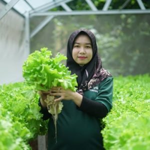 Foto 1 - Salah satu peserta Sharp Hydro Heroes sedang menunjukan hasil panen selada