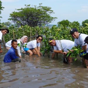 Foto 1 - Perwakilan Sharp bersama masyarakat setempat melakukan penanaman bibit pohon mangrove di Pulau Tunda