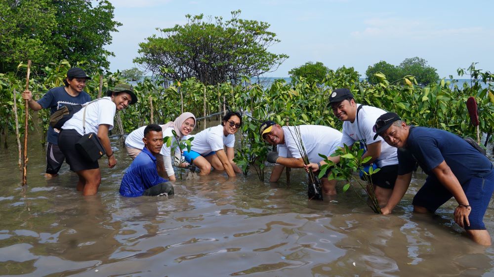 Foto 1 - Perwakilan Sharp bersama masyarakat setempat melakukan penanaman bibit pohon mangrove di Pulau Tunda
