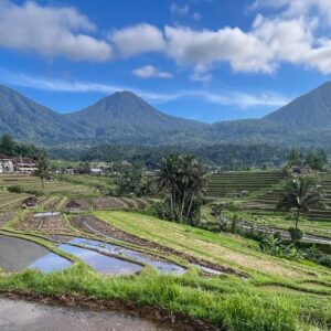 Jatiluwih Festival VI dilaksanakan pada 19–20 Juli 2025
