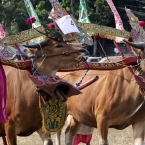 WhatsApp Image 2025-07-26 at 18.32.42_8631a643