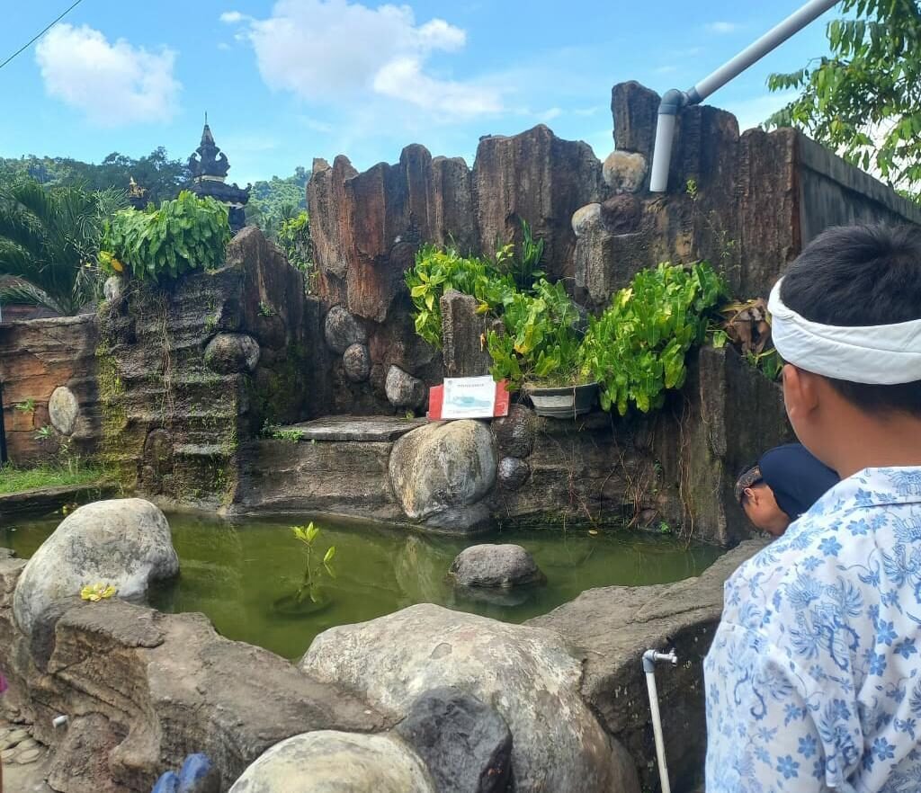 u10-IMG-20251101-WA0001