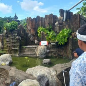 u10-IMG-20251101-WA0001