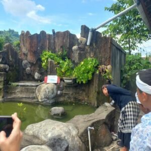 u10-IMG-20251101-WA0017