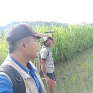 u10-IMG-20251121-WA0003