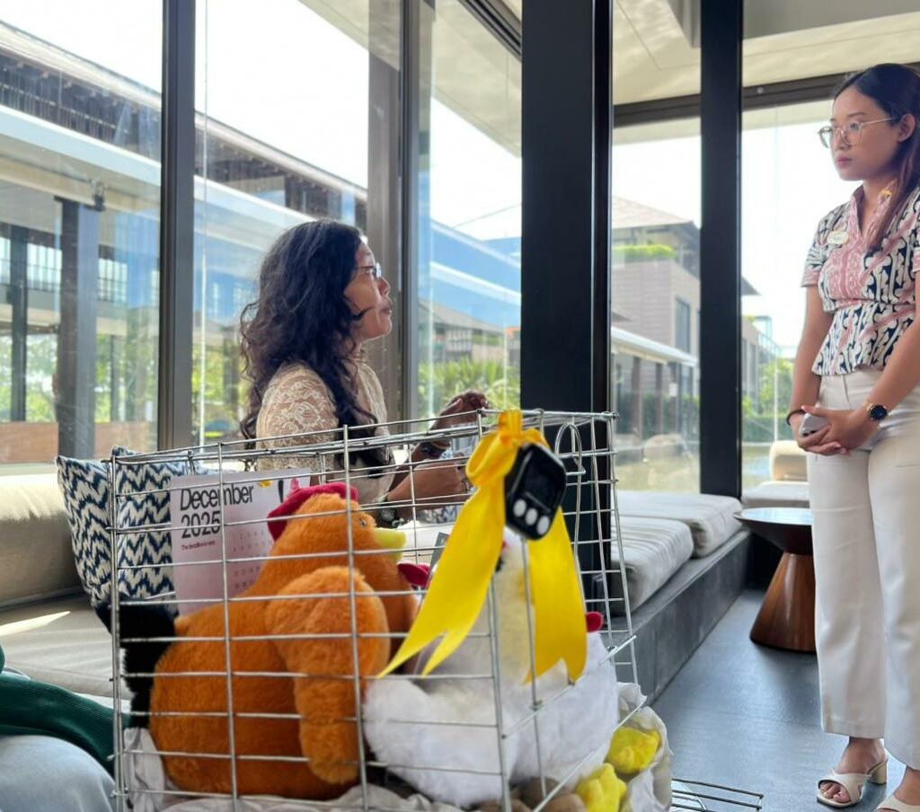 u10-IMG-20251128-WA0003