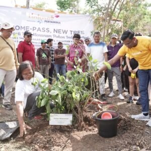 u22-penanaman-pohon