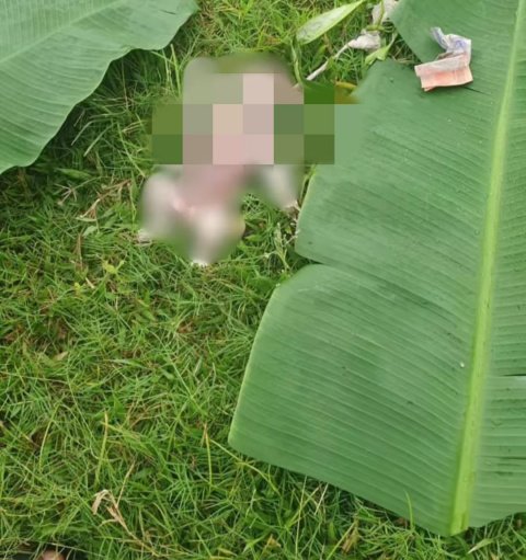 u6-IMG_20251105_175332