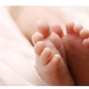 u6-IMG_20251203_172544