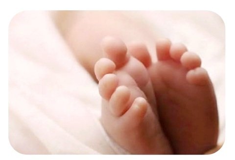 u6-IMG_20251203_172544