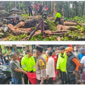 u6-IMG_20251203_194202