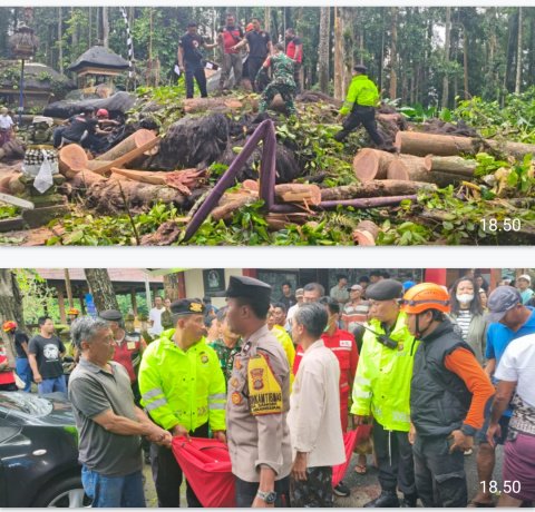 u6-IMG_20251203_194202