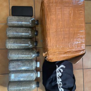 u6-IMG_20251223_160455