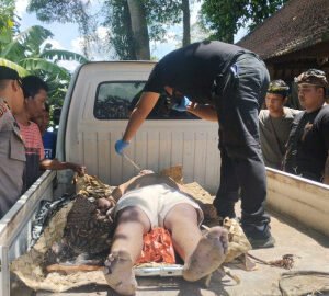 u6-IMG_20260103_173937