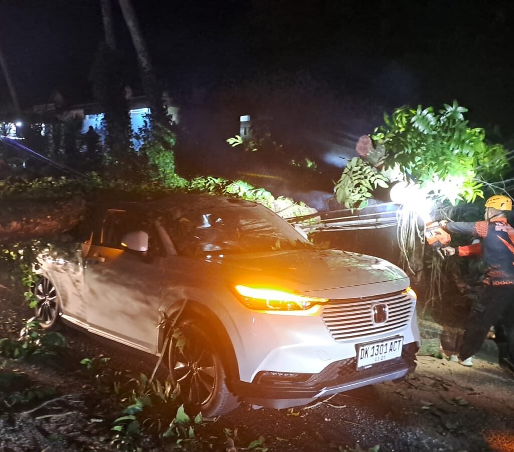 IMG-20260413-WA00531-2