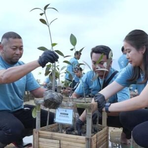 ITDC-Nusantara-Utilitas-tanam-250-bibit-mangrove-di-area-Pudut-Desa-Adat-Tanjung-Benoa