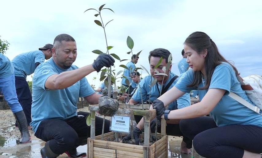 ITDC-Nusantara-Utilitas-tanam-250-bibit-mangrove-di-area-Pudut-Desa-Adat-Tanjung-Benoa