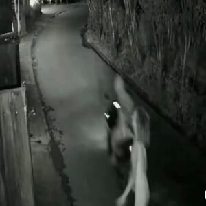 1000902040