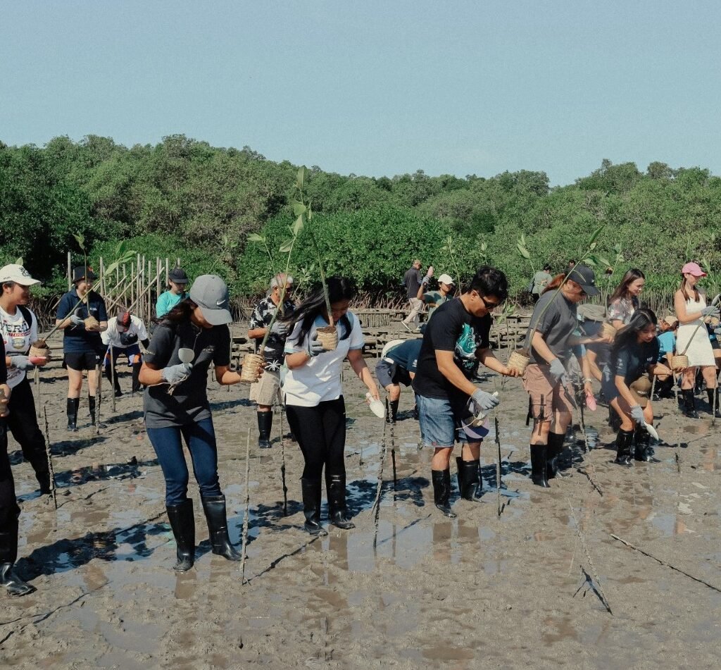 Ascott-Indonesia-peringati-Hari-Mangrove-Sedunia