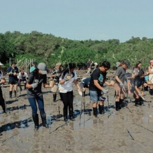 Ascott-Indonesia-peringati-Hari-Mangrove-Sedunia