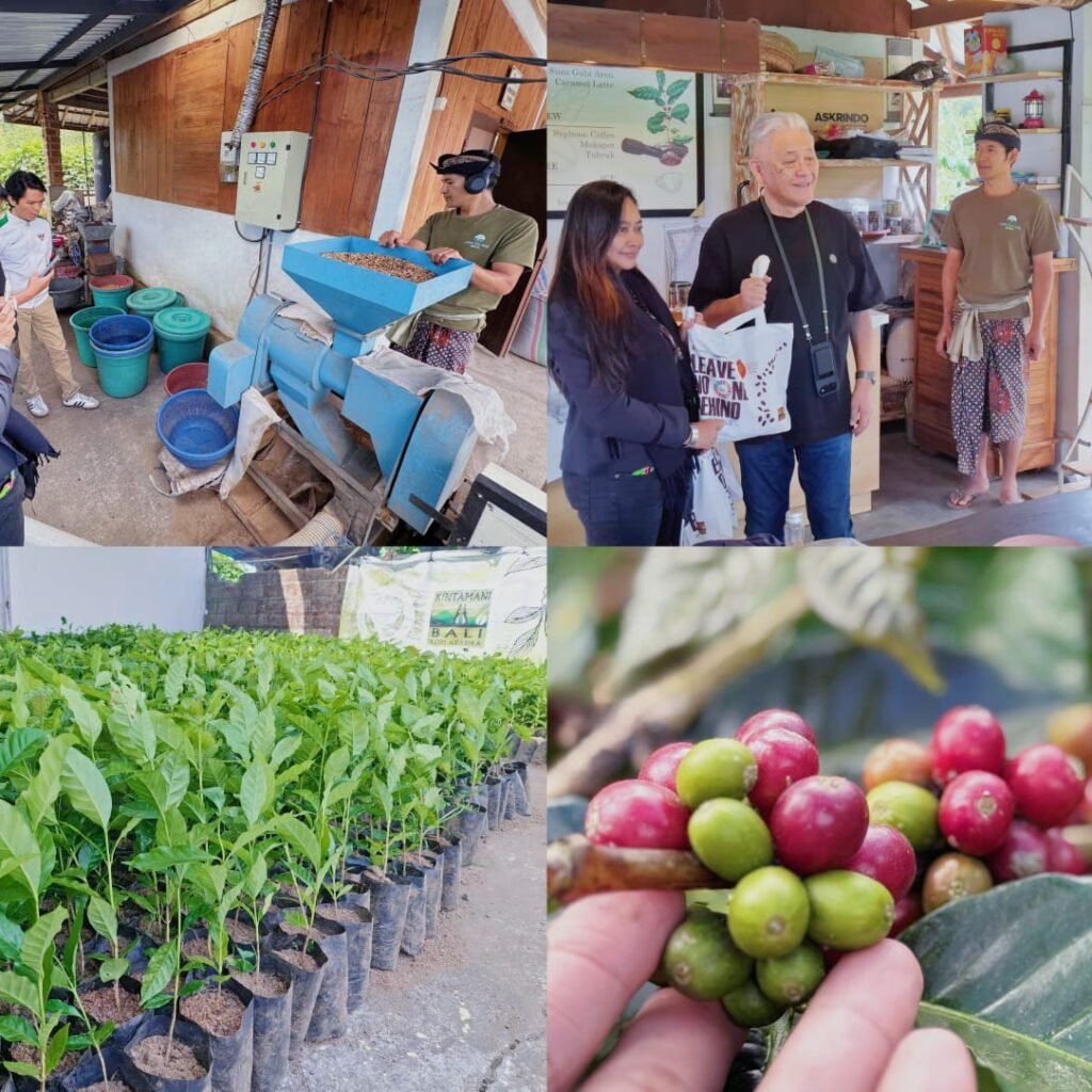 Sinergi-hulu-hilir-kopi-organik-Kintamani-berbasis-ekonomi-hijau