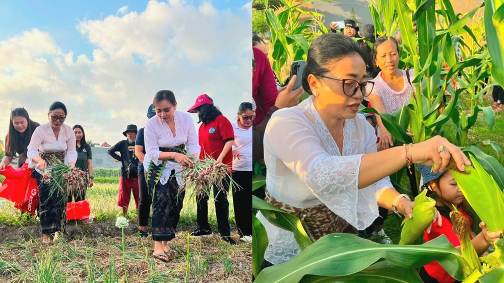 2026-08-05-at-21.56.24